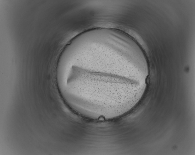 X0000094350433200711241918