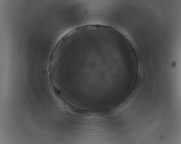 X0000094350434200711241918