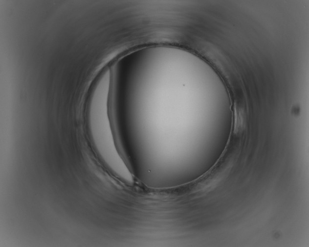 X0000094350435200711241918