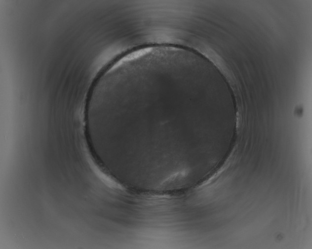 X0000094350438200711241918