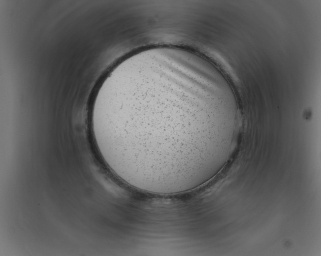 X0000094350439200711241918