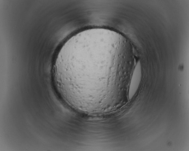 X0000094350440200711241918