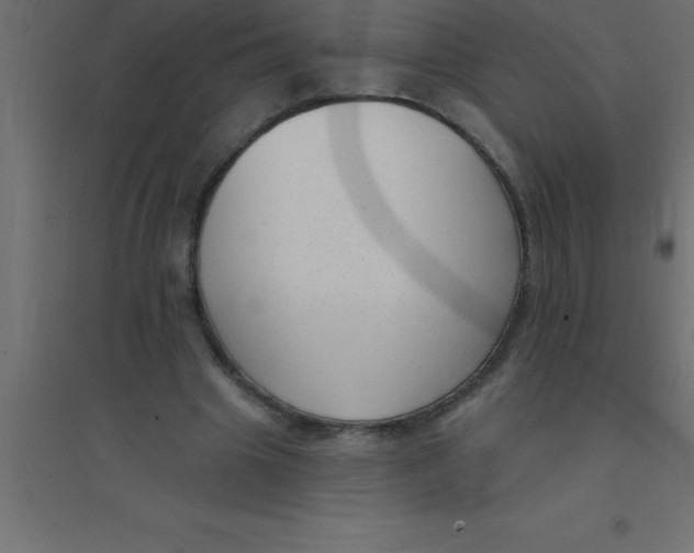 X0000094350441200711241918