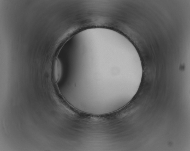 X0000094350442200711241918