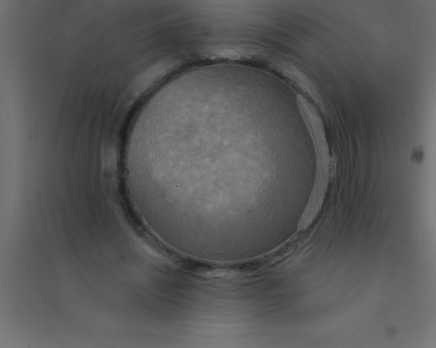 X0000094350444200711241918