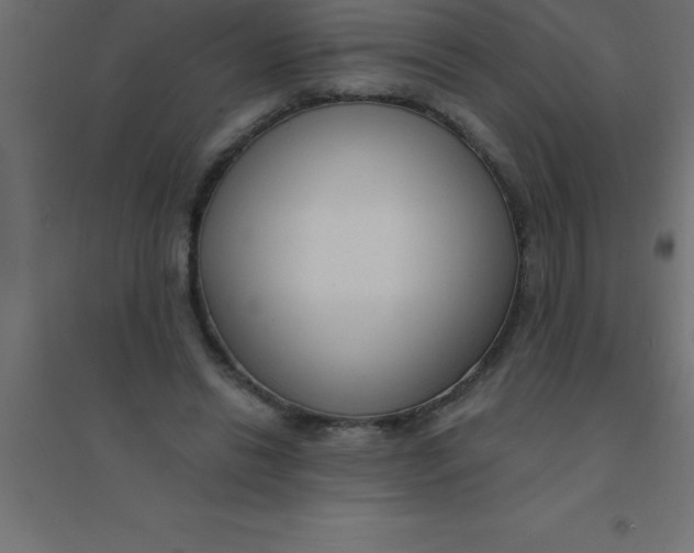 X0000094350446200711241918