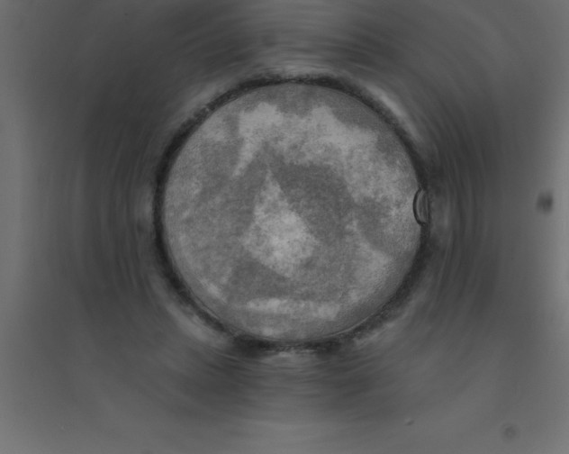 X0000094350447200711241918