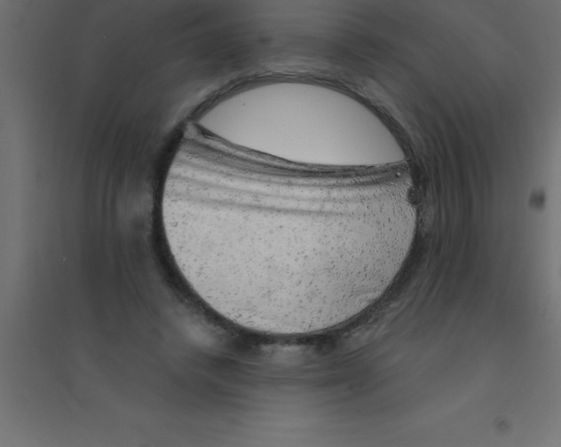 X0000094350448200711241918