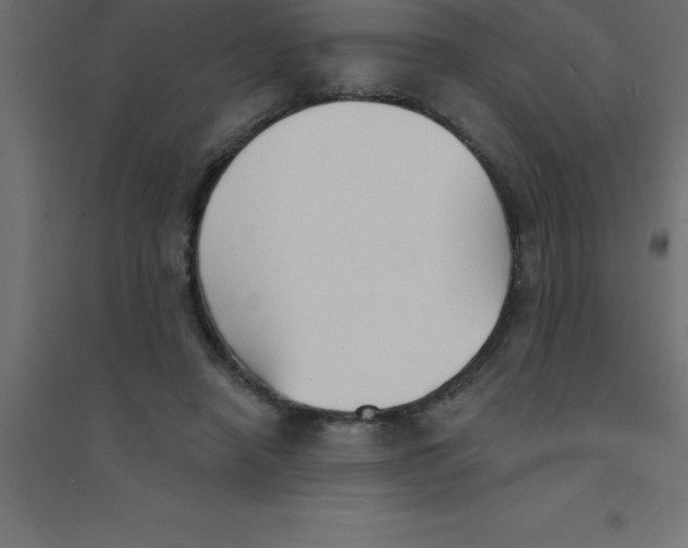 X0000094350450200711241918