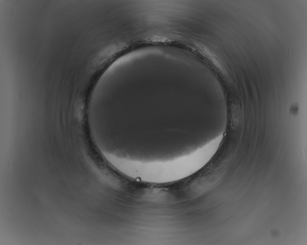 X0000094350451200711241918