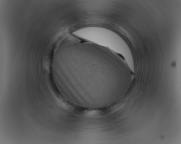 X0000094350452200711241918