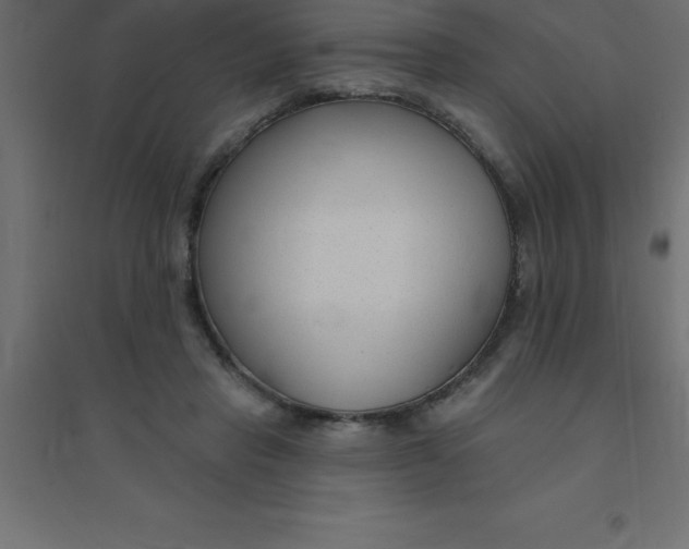 X0000094350453200711241918