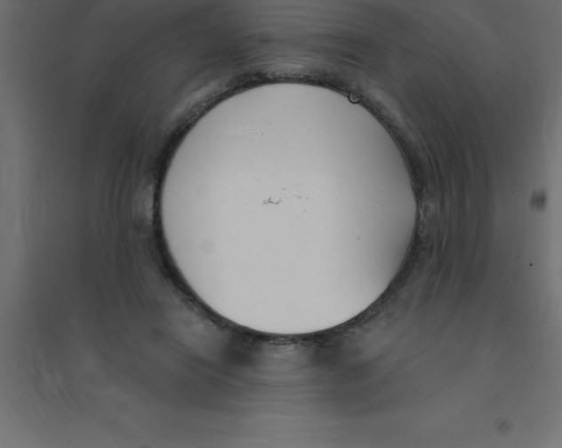 X0000094350454200711241918