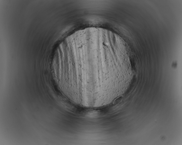 X0000094350456200711241918