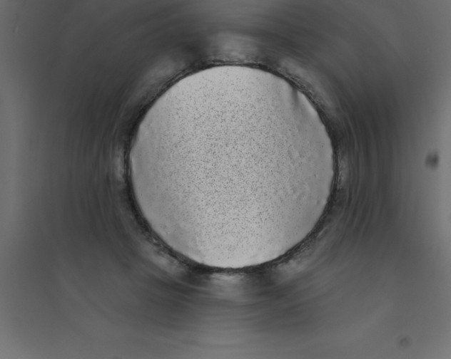 X0000094350457200711241918