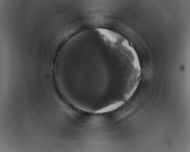 X0000094350458200711241918