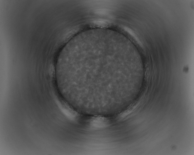 X0000094350459200711241918