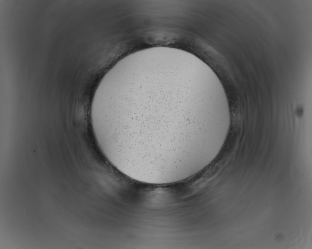 X0000094350460200711241918