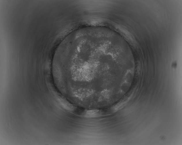 X0000094350461200711241918