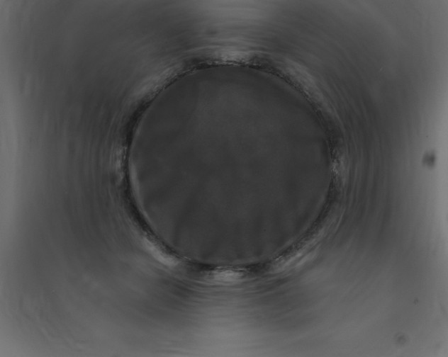 X0000094350462200711241918