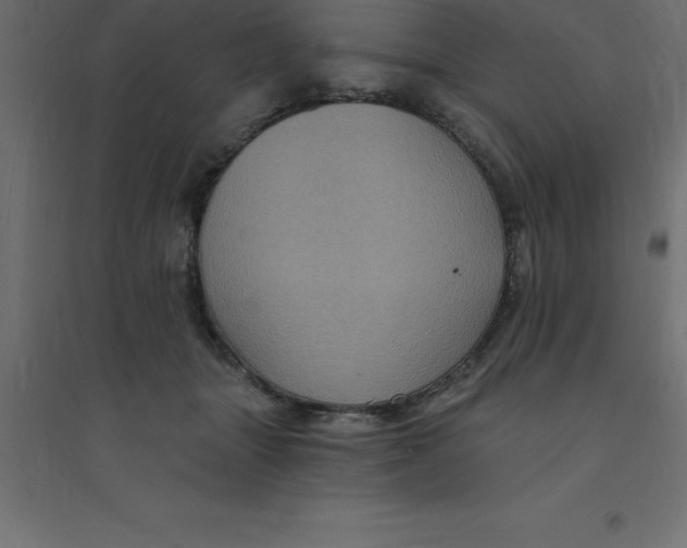 X0000094350463200711241918