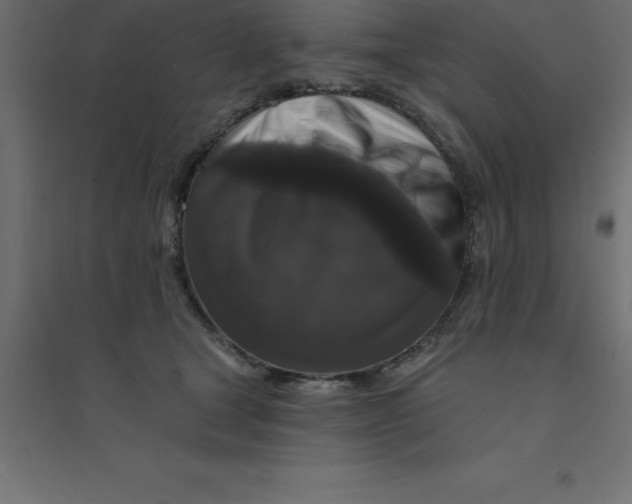 X0000094350465200711241918