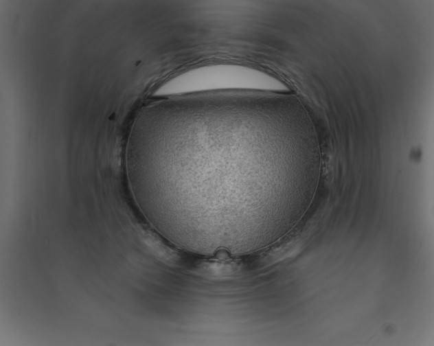 X0000094350466200711241918