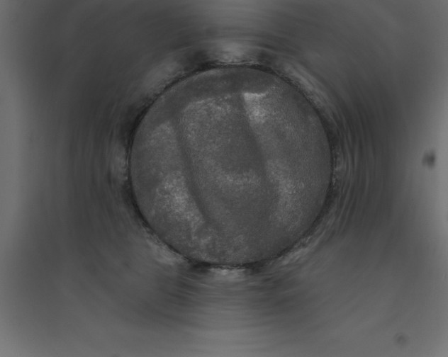 X0000094350469200711241919