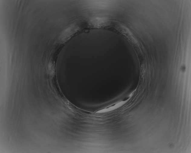 X0000094350471200711241919