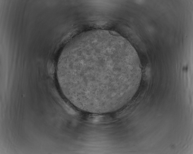 X0000094350472200711241919