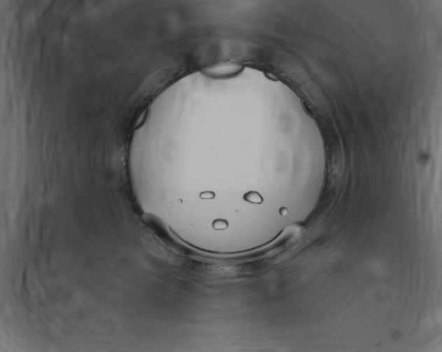 X0000094350473200711241919