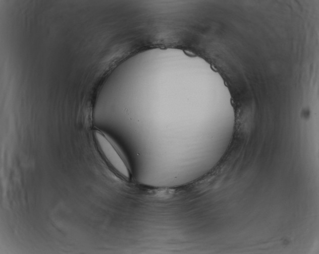 X0000094350474200711241919