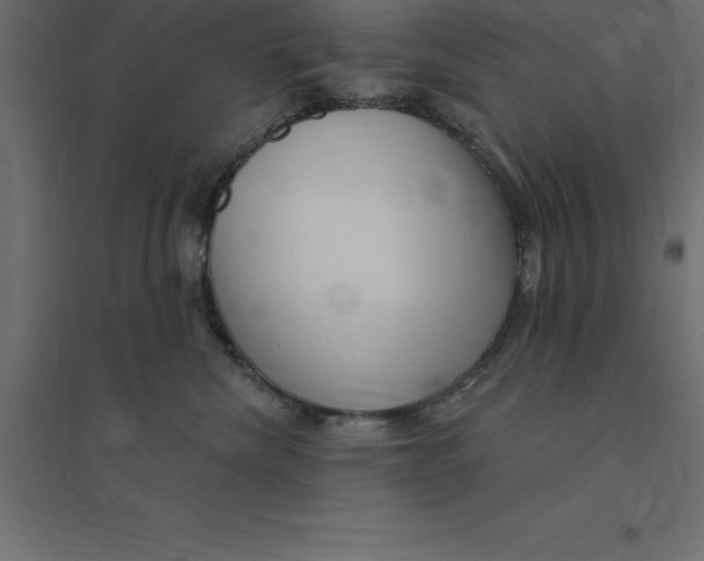 X0000094350476200711241919