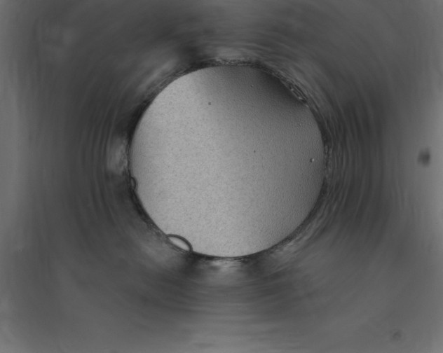 X0000094350478200711241919