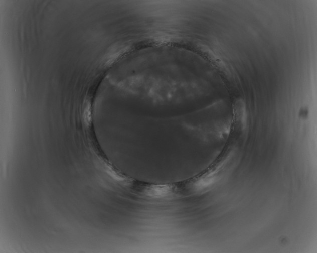 X0000094350479200711241919