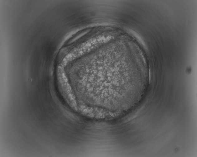 X0000094350483200711241918