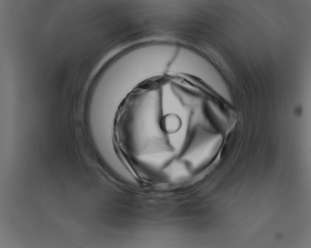 X0000094350484200711241918