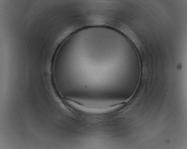 X0000094350485200711241918