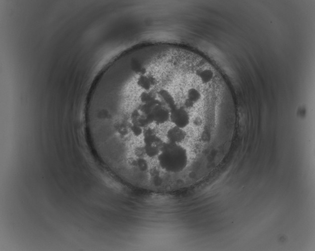 X0000094350487200711241918