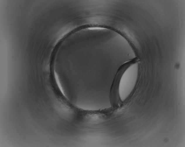 X0000094350488200711241918