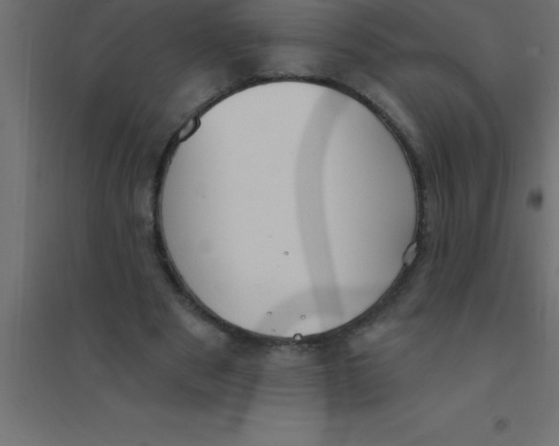 X0000094350489200711241918