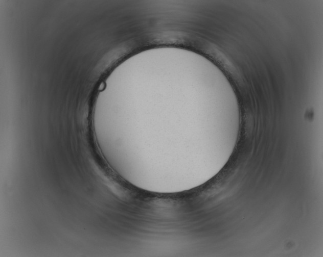 X0000094350490200711241918