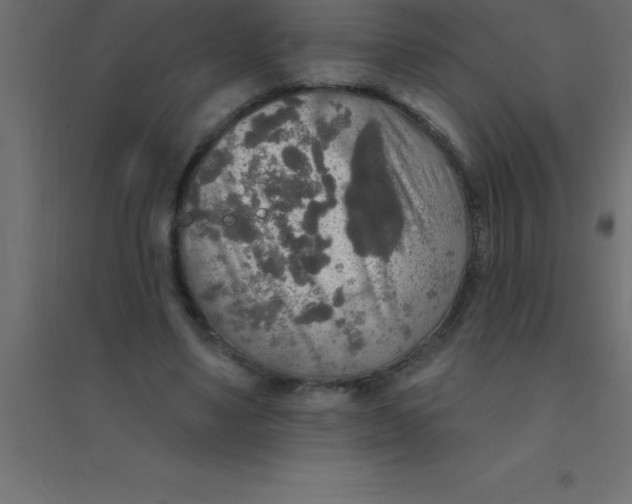 X0000094350491200711241918