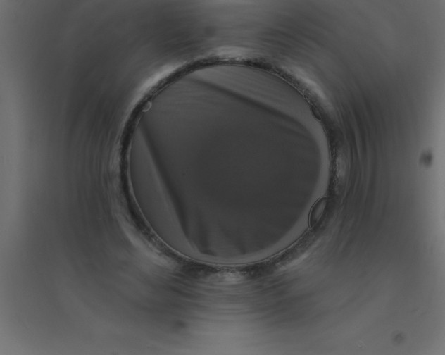 X0000094350492200711241918