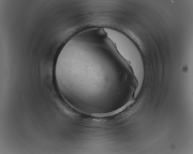 X0000094350493200711241918