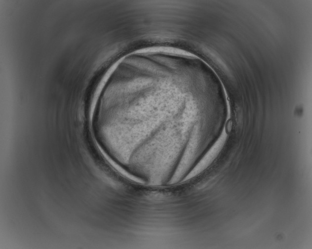 X0000094350494200711241918