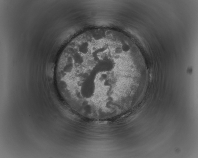 X0000094350495200711241918