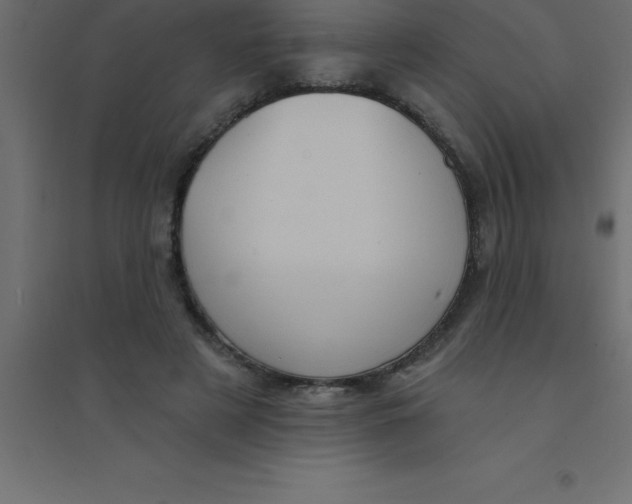 X0000094350497200711241918