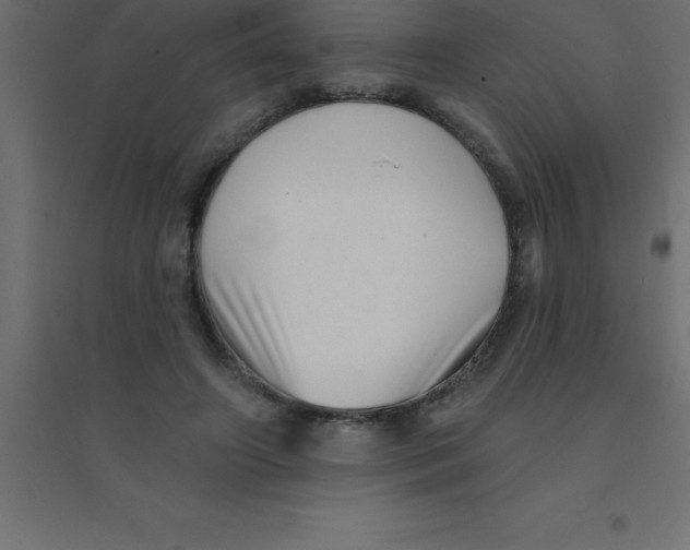 X0000094350498200711241918