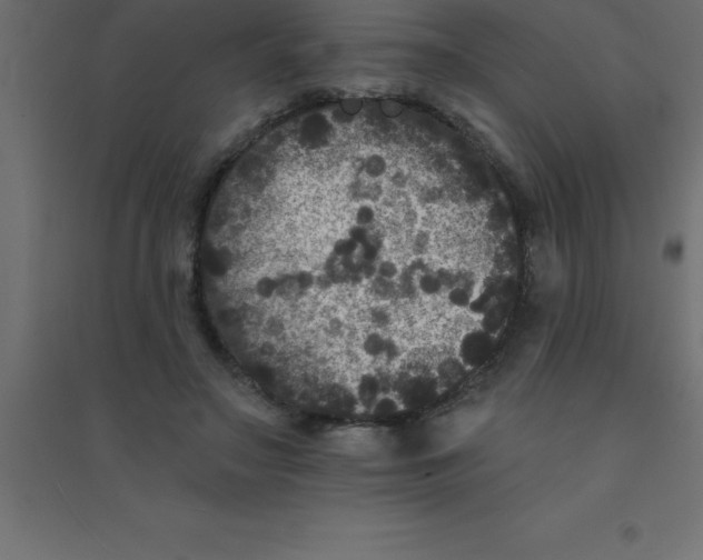 X0000094350499200711241918